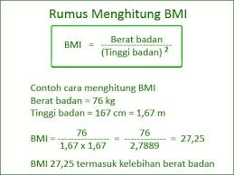 Apa Itu Bmi Body Mass Index Vistabunda Com