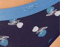 Lot de 2 slips neufs (encore dans leur emballage) 95% coton bio 5% elasthanne. Les 10 Plus Beaux Slips Dim Femmes Vide Dressing