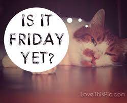 Is It Friday Yet Its Friday Quotes Friday Humor Funny Quotes