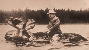 Image result for theodore roosevelt