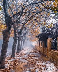 Autumn Morning Sawfar Lebanon At At We Are Lebanon Wearelebanon لبنان صوفر صباح الخريف Instagram Beautiful Pictures Calm After The Storm