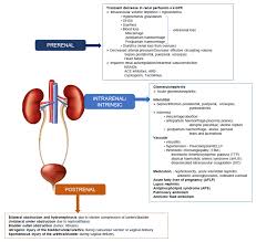 Jcm Free Full Text The Changing Landscape Of Acute Kidney Injury In Pregnancy From An Obstetrics Perspective Html