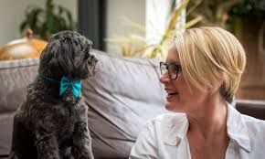 About Us — Flint Training & Consultancy