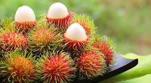 We did not find results for: Buah Buahan Yang Dianggap Eksotis Banyak Tumbuh Subur Di Indonesia Okezone Lifestyle