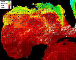 Current Temperature Of The Gulf Of Mexico Gulf Of Mexico Spring Season Preview 2020: Current Conditions Look  Excellent In The Gulf Of Mexico - Roffs™