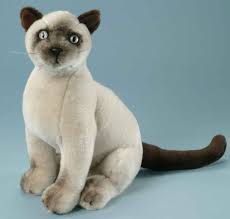 Wobei hier weder der ort und die art der entdeckung wirklich eine tragende rolle spielen. Siam Katze Beige Braun 30 Cm