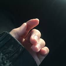  Pin Oleh Saffa Di Hands And Nails Referensi Tangan Foto Tangan Gambar Still Life