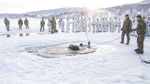 The village is located along the barduelva river, about 25 kilometres (16 mi) east of the village of sjøvegan and. Norway Invites Hundreds Of U S Marines To The North The Independent Barents Observer