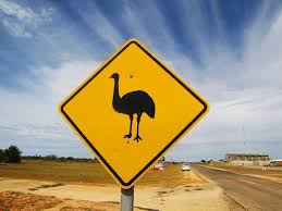 Koalified 7 Amazing Australian Animal Crossing Signs Webecoist Australian Animals Animal Crossing Weird Animals