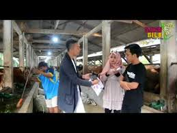 Image result for TaiPau