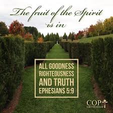 Ephesians 5 9 For The Fruit Of The Spirit Is In All Goodness Righteousness And Truth Book Of Ephesians Ephesians Righteousness