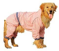 Lpet Medium Large Dog Hooded Rain Slicker Pet Rain Poncho Siberian Husky Rain Coat Golden Retriever Rain Wear Trust Me Th Dog Diapers Dog Coats Dog Raincoat