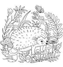 It can happen in the coloring practice. Realistic Hedgehog Coloring Picture Hedgehog Colors Animal Coloring Pages Coloring Pictures
