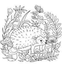 Also check out our other cartoon coloring pages with a variety of drawings to print and paint. Realistic Hedgehog Coloring Picture Hedgehog Colors Animal Coloring Pages Coloring Pictures