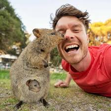 摄影师艾伦迪克森和小动物们- 抖音