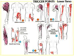 Trigger Point Referral Patterns Balance In Motion Bodywork