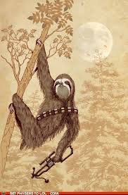 I Kind Of Really Love This Star Wars Art Sloth Art Sloth