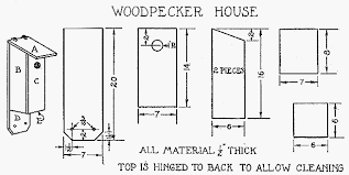 Build A Woodpecker House