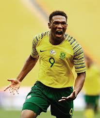 Through this post, we will be taking a. Bafana Bafana South Africa Football Fans