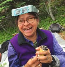 INSTITUTE for BIRD POPULATIONS