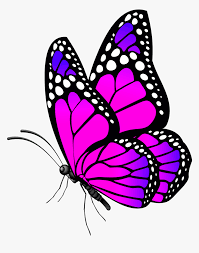 Check spelling or type a new query. Free Desktop Wallpaper Butterflies Flowers Hd Png Download Kindpng