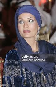 4,565 Sheikha Stock Photos, High-Res Pictures, and Images