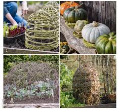Make Your Own Plant Supports And Protection Plant Supports Edible Garden Plants