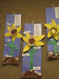 Daffodils Parts Of A Flower Spring Activities Plant Science