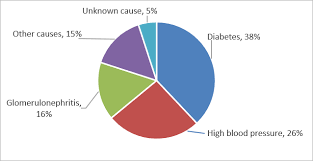 You and your healthcare provider need to pay close attention to your blood pressure. High Blood Pressure Kidney Disease Niddk