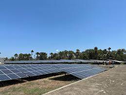 Memastikan Transisi Energi Berkeadilan di Indonesia: Pengembangan Energi  Baru Terbarukan (EBT) di Nusa Tenggara Timur (NTT) Saat ini beserta  Tantangannya - irid.or.id