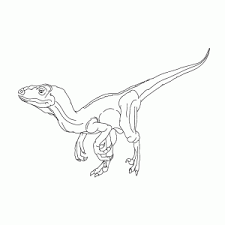 Ahorra con nuestra opción de envío gratis. Jurassic Park Jurassic World Kleurplaten Leuk Voor Kids