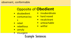 Marked by persistent weight to and defiance of authority or assistance. Opposite Of Obedient Antonyms Of Obedient Meaning And Example Sentences English Grammar Here