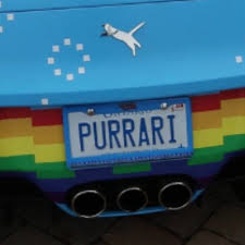 Check spelling or type a new query. Team Purrari Purrariftw Twitter