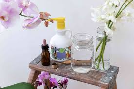Pour a spray bottle half full of fertilizer. How To Fertilize Your Orchid Collection
