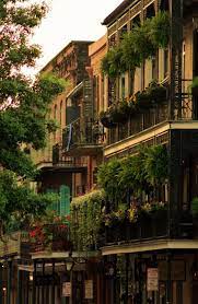 Bonitavista New Orleans Apartment New Orleans Louisiana New Orleans French Quarter