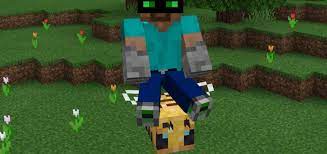 9 years ago not an uncommon issue, but it's easily fixed.attempt to find your card brand and visit their site to find the appropriate drivers for that card type. Rideable Bees Minecraft Pe Mods Addons