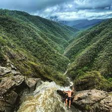 (forestry) chiefly us and canadian a plot of land covered with trees blown down by the wind. What A Beauty Windin Falls Queensland Travelling Australia Australia
