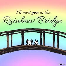 Explore 122 rainbow quotes by authors including dolly parton, maya angelou, and paul cezanne at brainyquote. I Ll Meet You At The Rainbow Bridge Print Mutts Rainbow Bridge Rainbow Bridge Dog Rainbow Bridge Cat