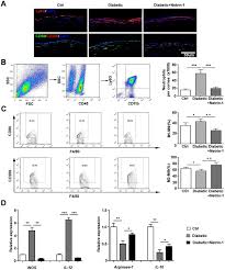 Videos, blogs, tuning and tech specs of toyota vista (50). Netrin 1 Promotes Diabetic Corneal Wound Healing Through Molecular Mechanisms Mediated Via The Adenosine 2b Receptor Scientific Reports