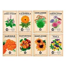 We did not find results for: Pin By Maggie Matthews On Botanical Edible Flowers Heirloom Seeds Flowers Australia
