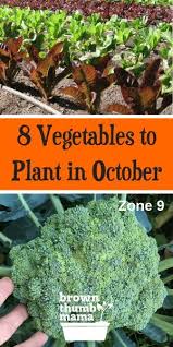 Our handy calendar showing you when to plant veges and flowers in your region, including harvest dates. 14 Vegetables To Plant In October Zone 9 Winter Vegetables Gardening Fall Garden Vegetables Planting Vegetables
