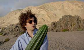 He and his friends are planning on taking a road trip north to experience a legendary shamanistic hallucinogen called the san pedro cactus. Crystal Fairy And The Magical Cactus Michael Cera And His Magical Cactus Is Weird In A Good Way Daily Mail Online