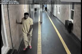 Prisoner starts his own tiktok cooking show from his jail cell after creating a diy grill on his metal bed. Albany County Inmate S Death Shocks The Conscience