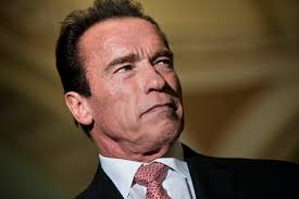 Arnold Schwarzenegger and California Assemblyman to form coalition of  moderate Republicans