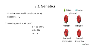 Inheritance of dominant and recessive genes. Science 10 Unit 1 Genetics 3 1 Genetics