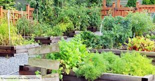 En permaculture ou en potager traditionnel, certains visent. Location D Un Jardin Conditions Contrat Et Cout Capital Fr