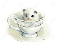 Compress and resize images & photos in jpeg format online with lossless or lossy compression algorithms 3. White Hamster Watercolor Hand Drawn Illustration Stock Photo Picture And Royalty Free Image Image 128392812
