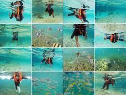 Snorkeling is a very enjoyable, inexpensive activity to enjoy on pulau tioman, so take advantage. Antara Aktiviti Wajib Dan Menarik Di Pulau Tioman