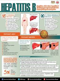 Hepatitis b can be prevented by vaccines that are safe, available and effective. Punca Penyakit Hepatitis B