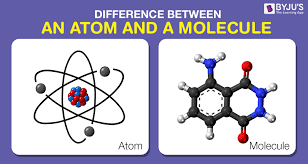 Difference Between Atom And Molecule In Tabular Form